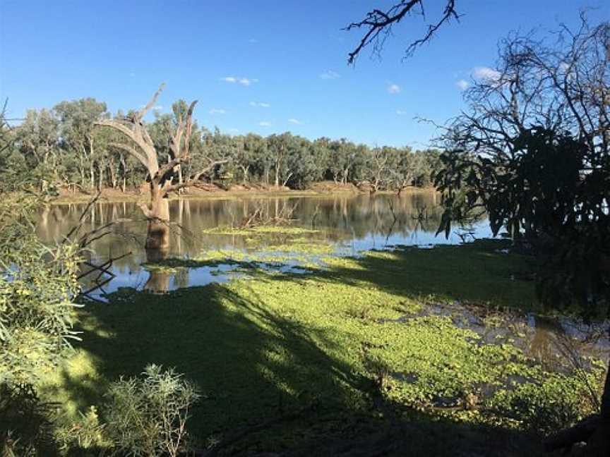 Cunnamulla Bushlands, Cunnamulla, QLD