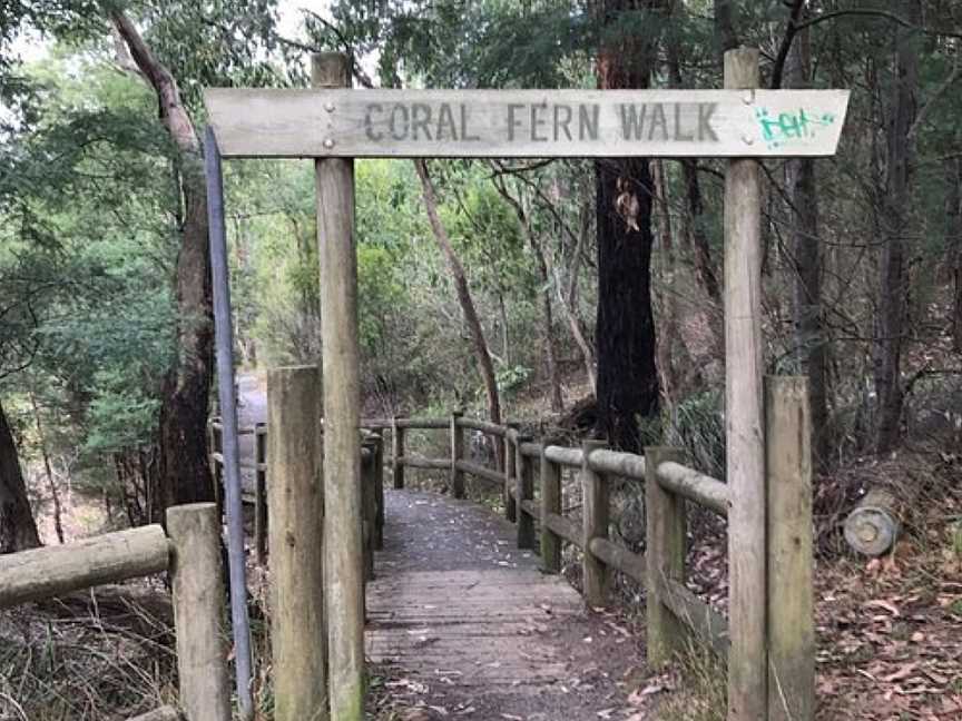 Edward Hunter Bush Reserve, Moe, VIC