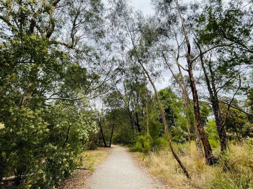 Kalang Park, Blackburn, VIC