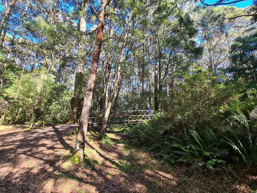 Sanatorium Lake, Mount Macedon, VIC