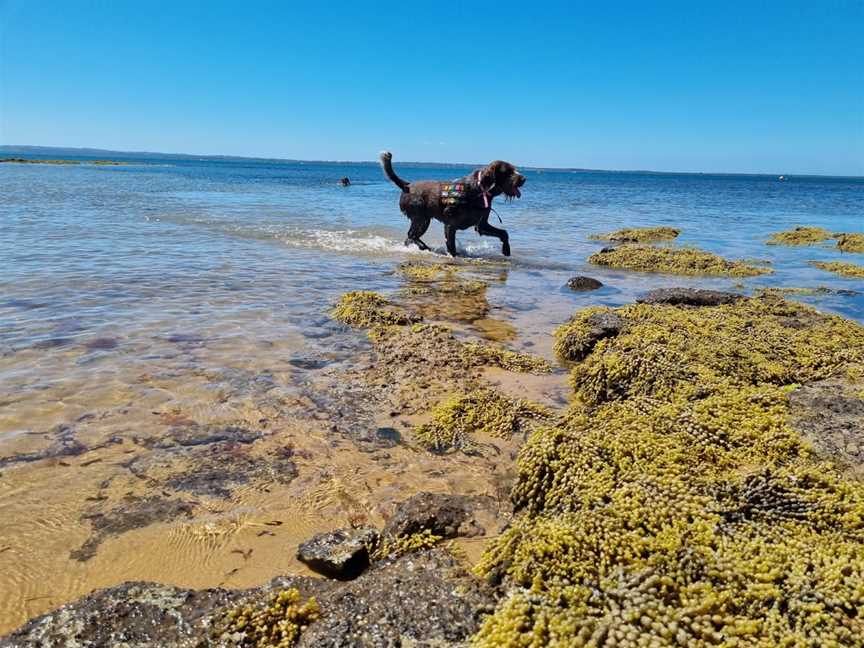 Ventnor Beach, Ventnor, VIC