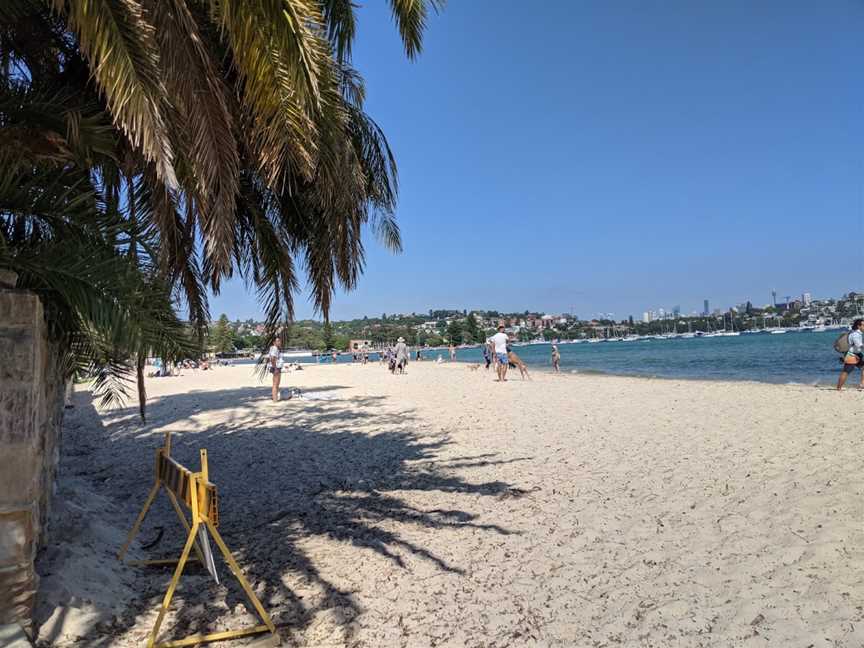 Rose Bay Beach, Rose Bay, NSW