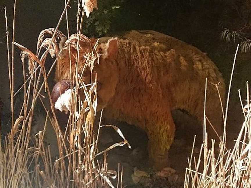 Wonambi Fossil Centre, Naracoorte, SA