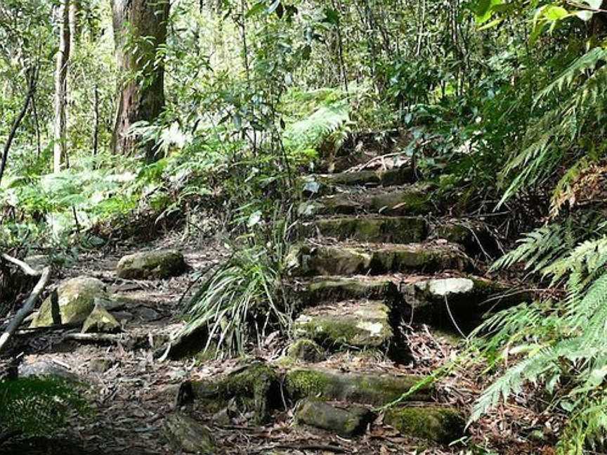 Horseshoe Falls Walk, Blue Mountains National Park, NSW