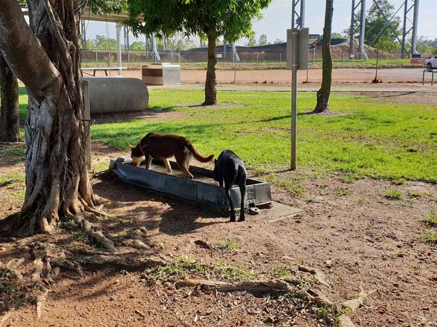 Marlow Lagoon Recreation Area, Palmerston, NT