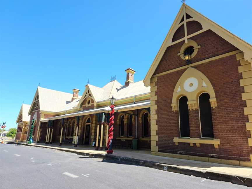 The Big Cherries, Young, NSW