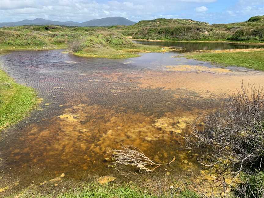 Cotters Beach, Wilsons Promontory, VIC