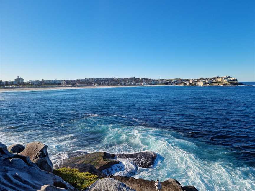 Marks Park, Tamarama, NSW