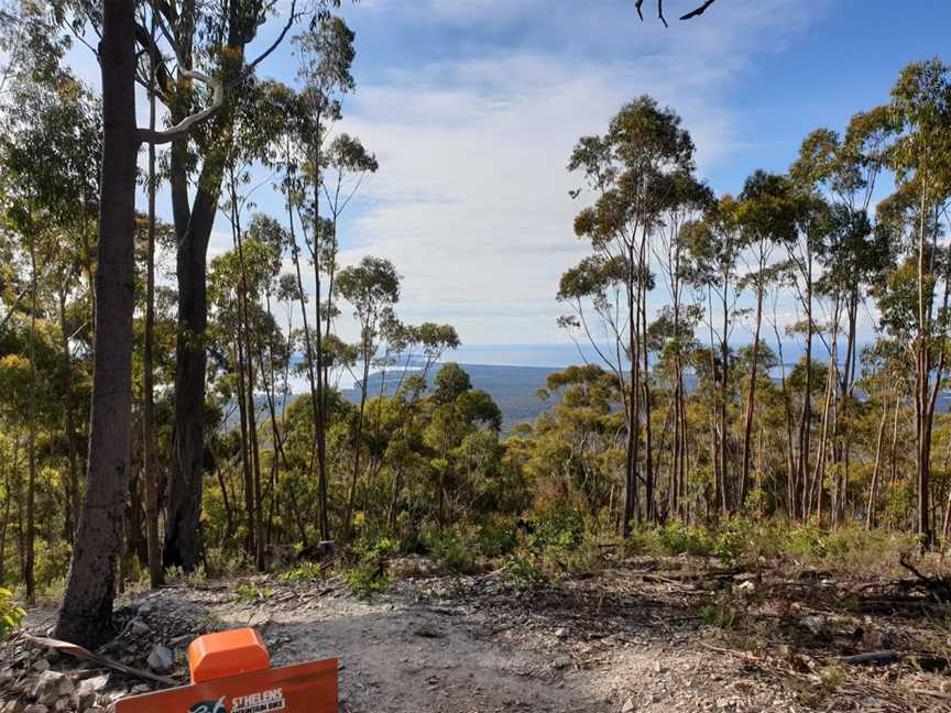 St Helens Mountain Bike Trails, St Helens, TAS