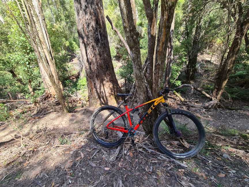 St Helens Mountain Bike Trails, St Helens, TAS