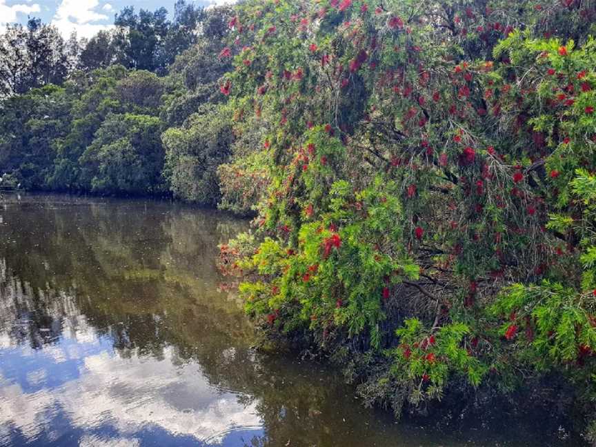 Harry Sawkins Park, Nowra, NSW