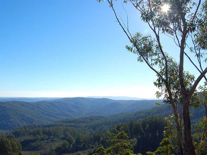 Noojee Picnic Grounds, Noojee, VIC