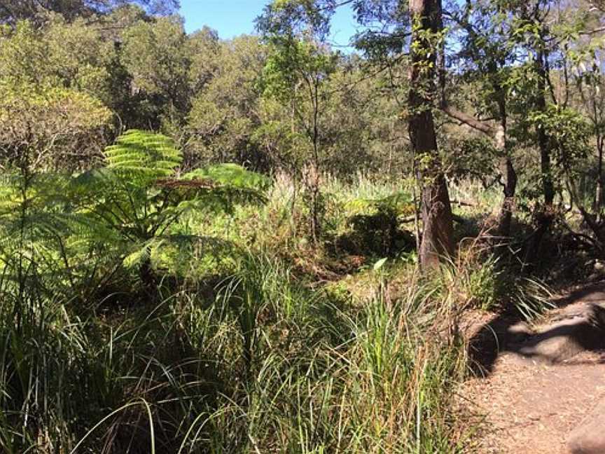 Tambourine Bay Reserve and Warraroon Reserve Walk, Sydney, NSW