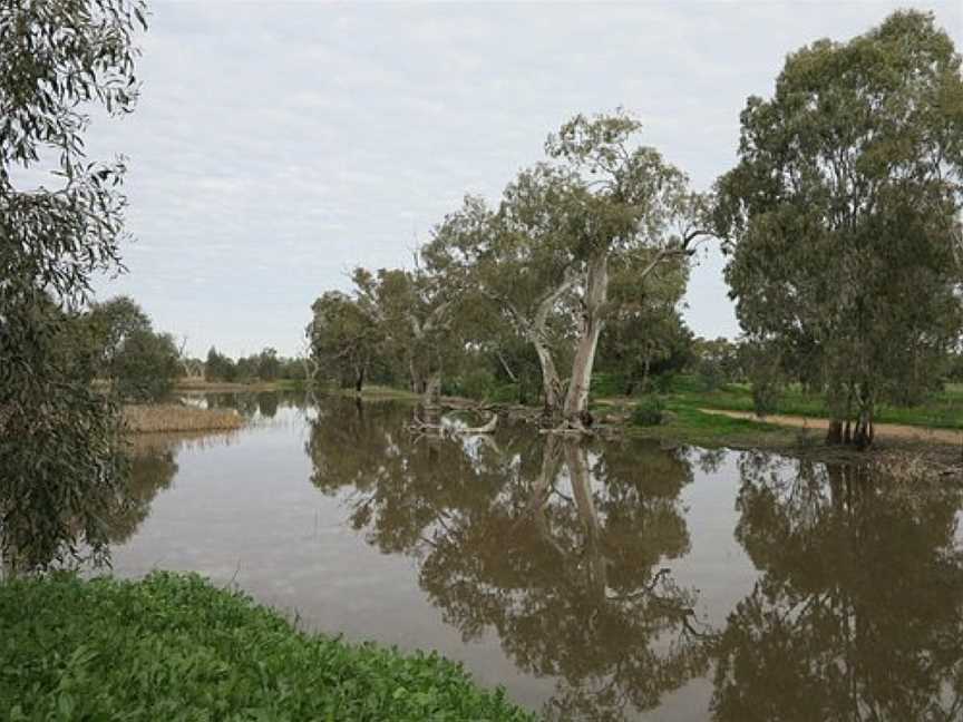 Tiger Bay Wetlands, Warren, NSW