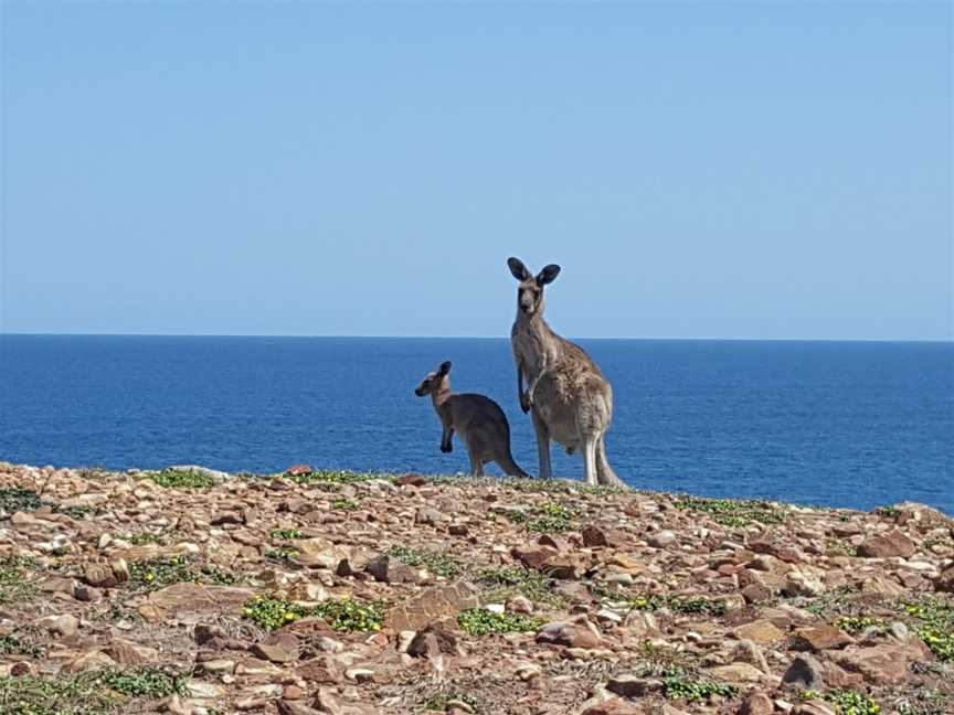 Moonee Beach Nature Reserve, Moonee Beach, NSW