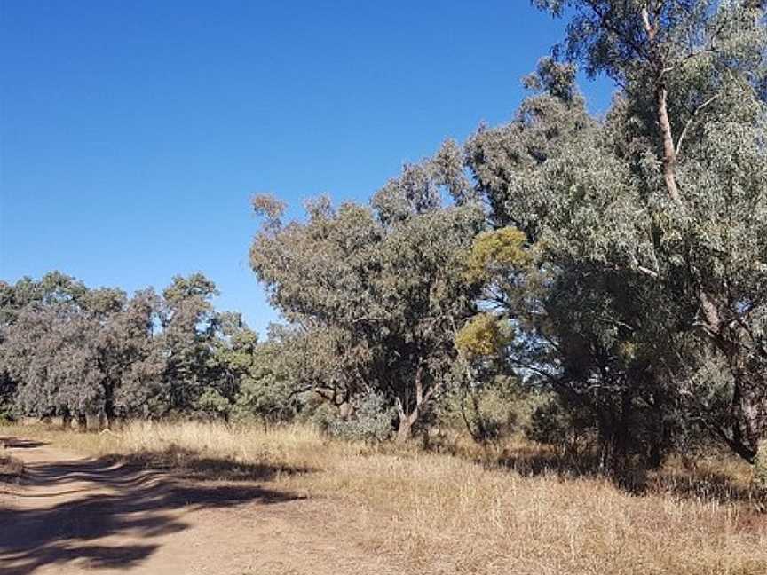 Quilpie River Walk, Quilpie, QLD