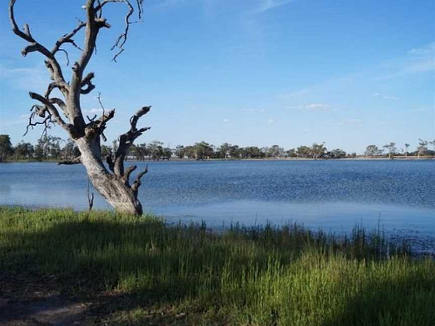 Wooroonook Lakes, Charlton, VIC