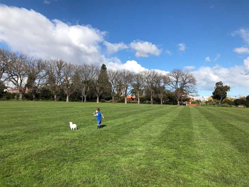 Ardrie Park, Malvern, VIC