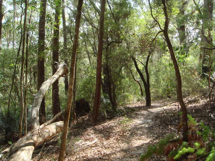 Fraser Island Great Walk, K'gari, QLD