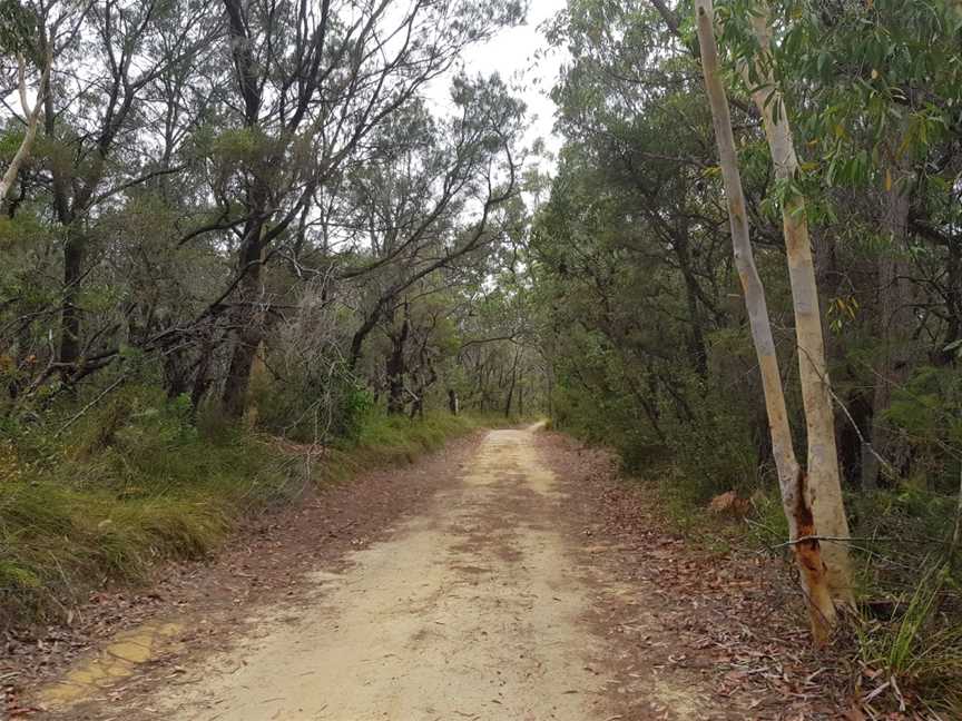 Kincumba Mountain Reserve, Kincumber, NSW