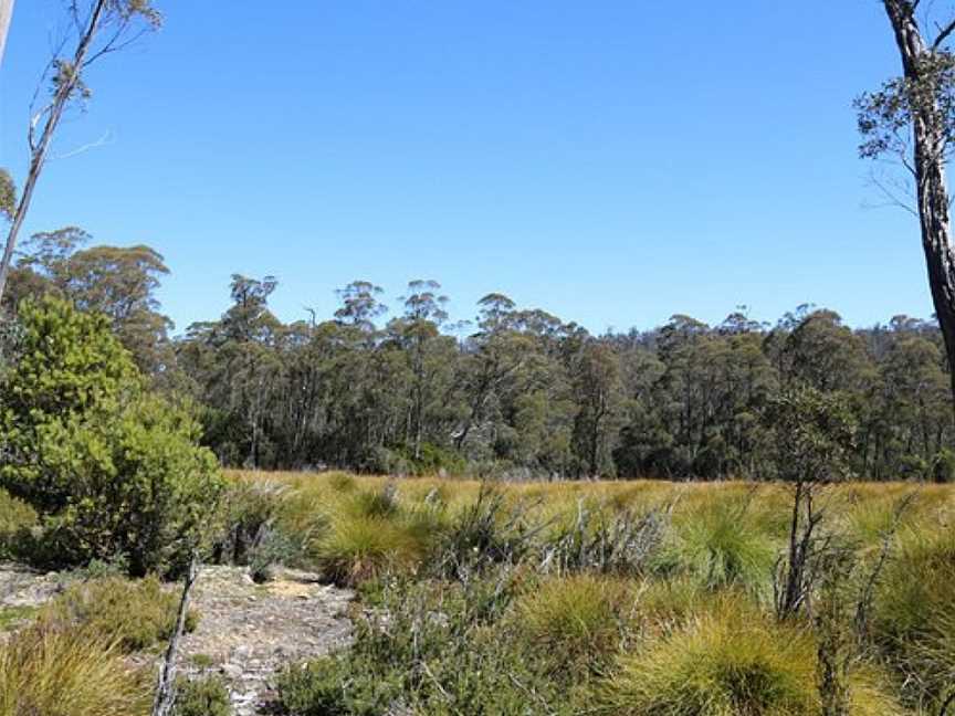 Larmairremener tabelti, Cradle Mountain-Lake St. Clair National Park, TAS