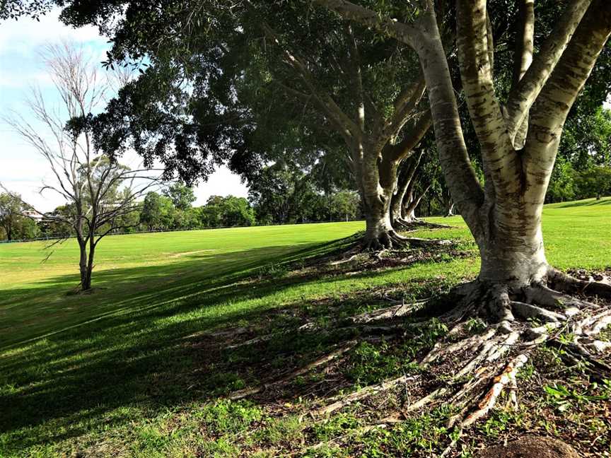 Marchant Park, Aspley, QLD