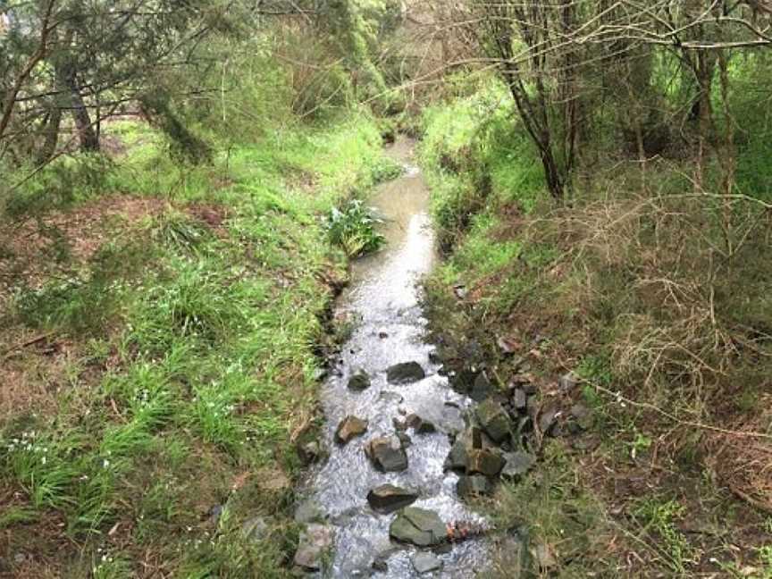 Wurundjeri Walk, Blackburn South, VIC