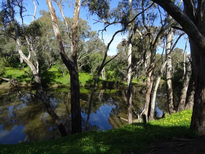 Campaspe River Reserve, Rochester, VIC