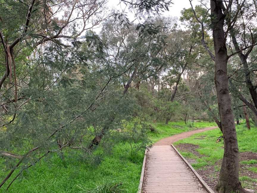 Cootamundra Walk, Blackburn, VIC