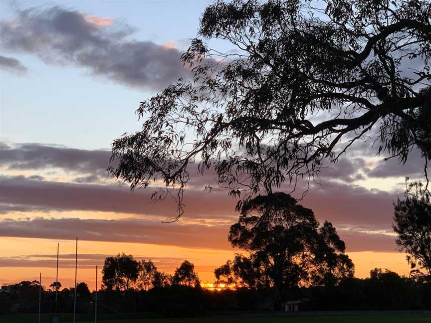 Lum Reserve, Wheelers Hill, VIC