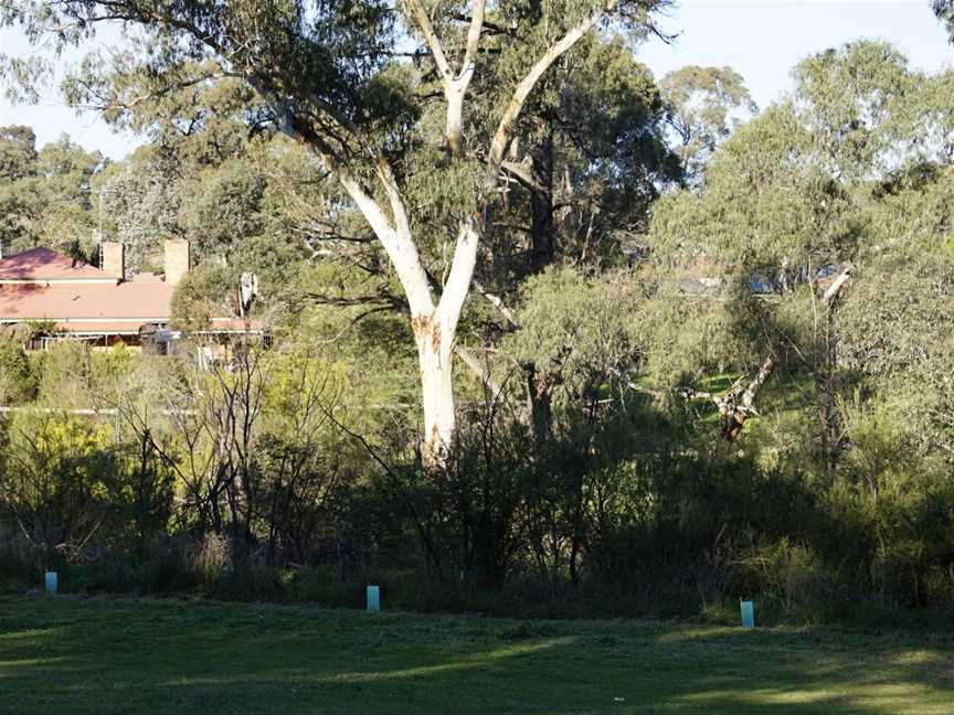 Montmorency Park, Montmorency, VIC