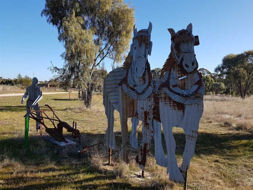 Pastoral Shadows of Brookong, Lockhart, NSW