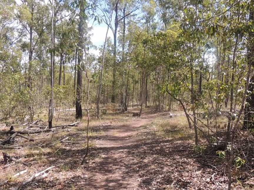 Promisedland Cordalba State Forest, Bundaberg, QLD