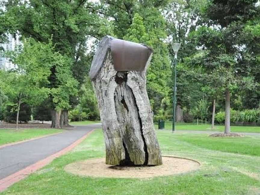 Scarred Tree, Melbourne, VIC