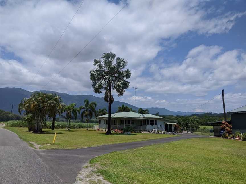 Whyanbeel Arboretum, Whyanbeel, QLD