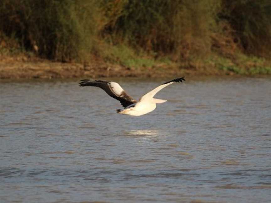 Cullymurra Waterhole, Innamincka, SA