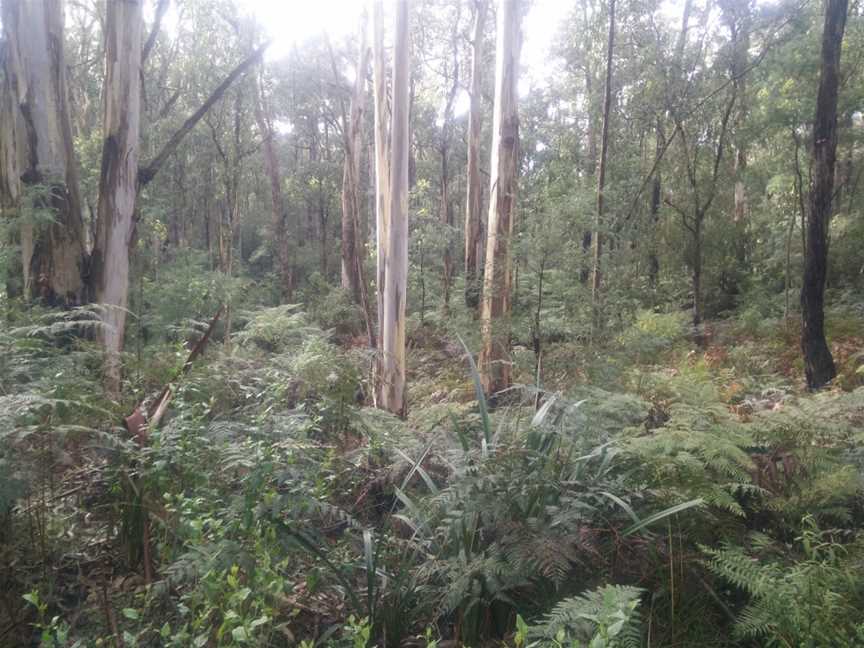 Crossover Regional Park, Crossover, VIC