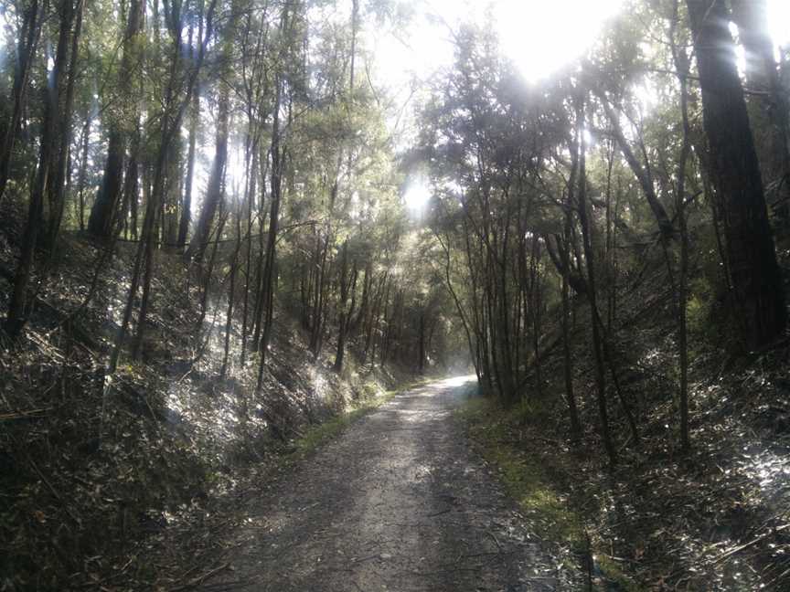 Crossover Regional Park, Crossover, VIC