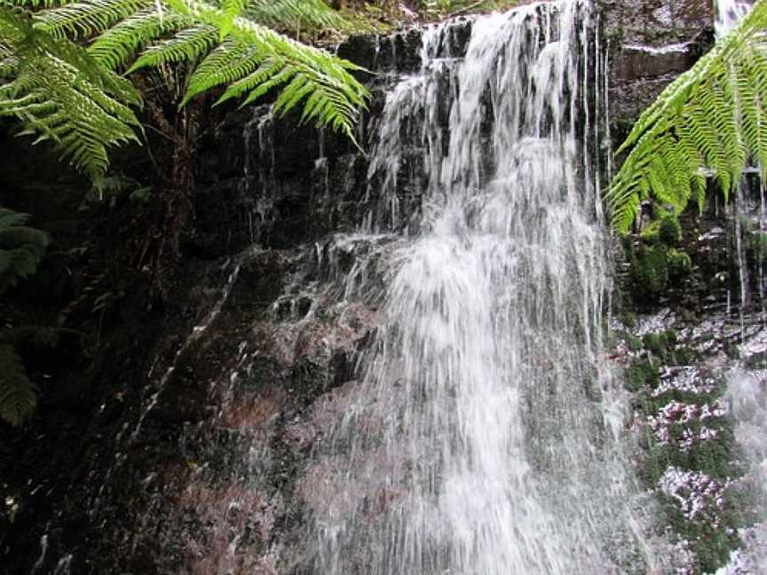 Fern Tree to Silver Falls Loop, Fern Tree, TAS