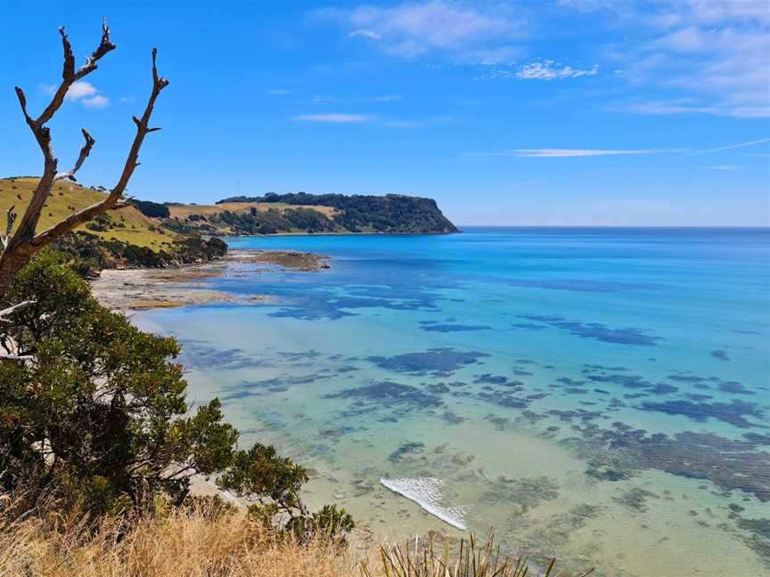 Fossil Bluff Lookout, Wynyard, TAS