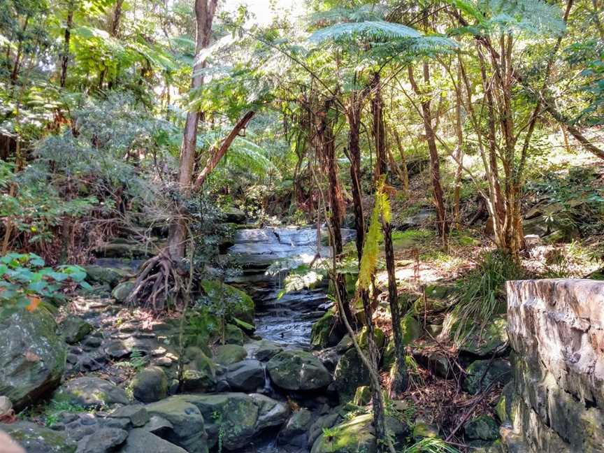 Harbourview Park, Woollahra, NSW