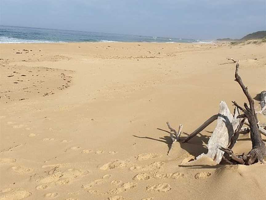 Point Ricardo Beach, Marlo, VIC