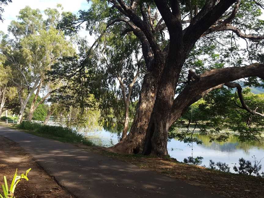 Rossiter Park, Townsville, QLD