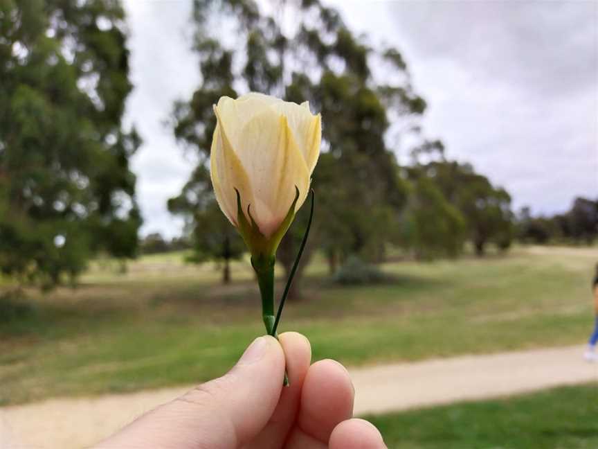 Whittlesea Public Gardens, Lalor, VIC