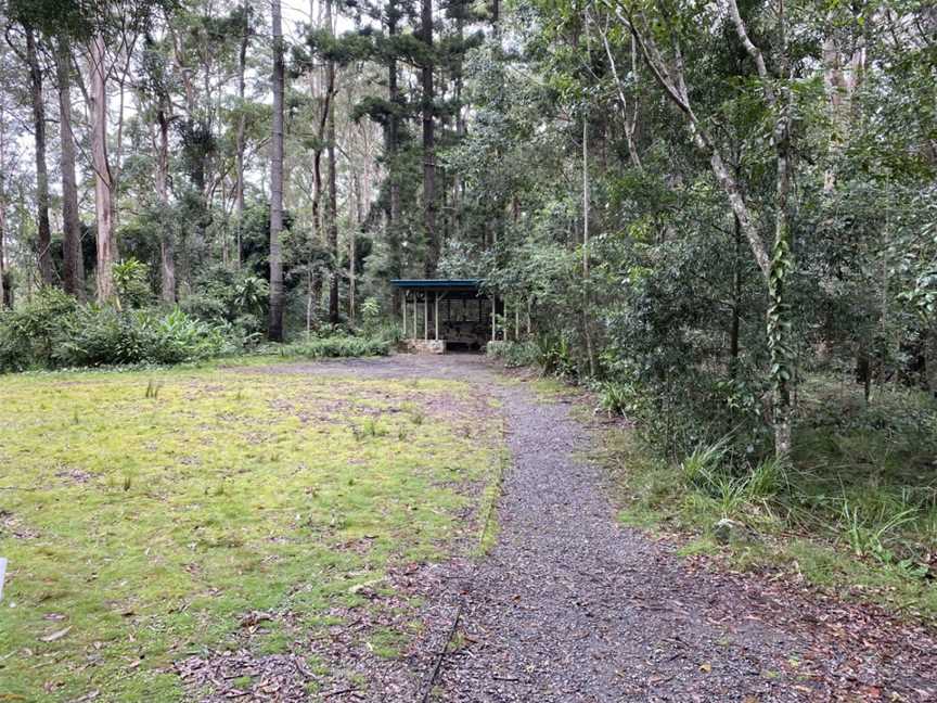 Boombana Mt Nebo Walk, Brisbane, QLD