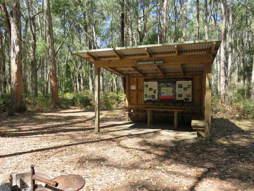 Cobboboonee National Park, Heywood, VIC