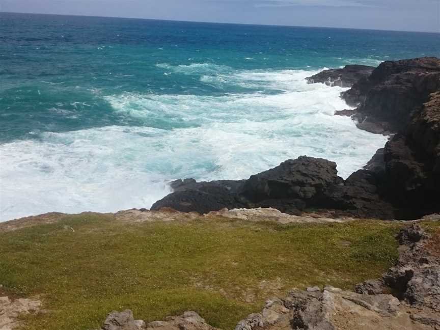 Discovery Bay Marine National Park, Cape Bridgewater, VIC