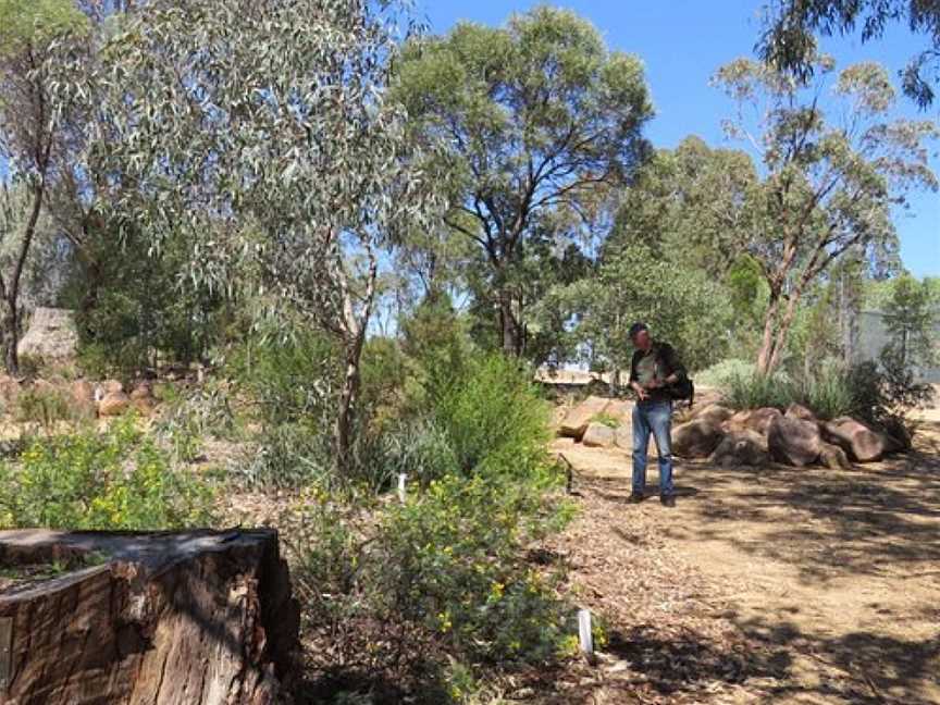 Endemic Gardens, Grenfell, NSW