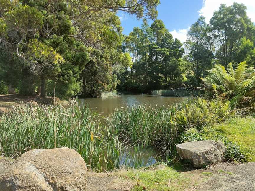 Northeast Park, Scottsdale, TAS