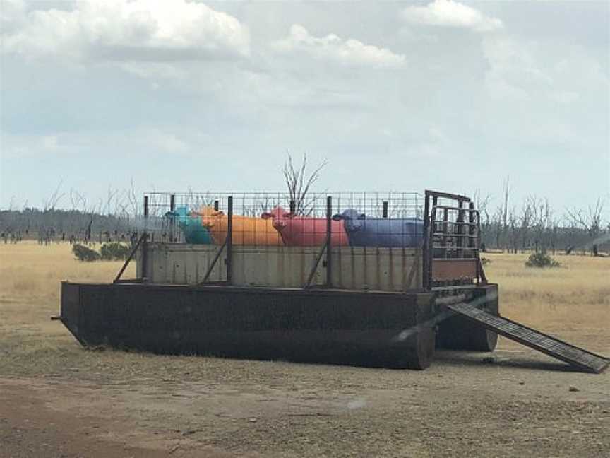 Winton Wetlands Art Trail, Benalla, VIC